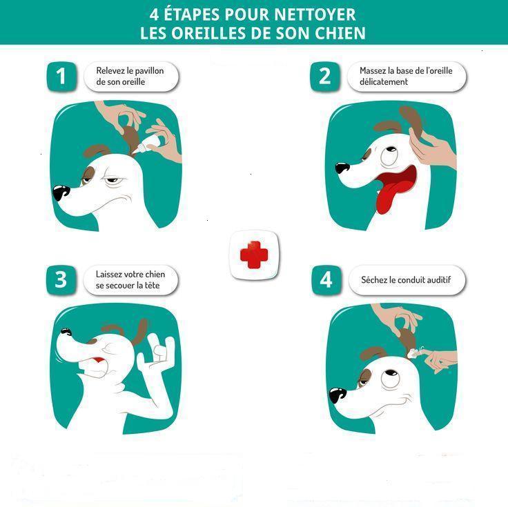 Nettoyage des oreilles - Clinique vétérinaire VetAnimalia d'Evrecy