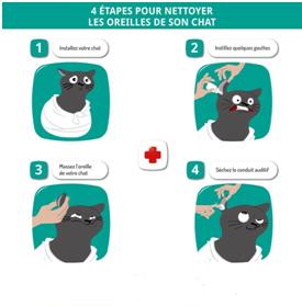 Oreilles du chat : comment les nettoyer ?